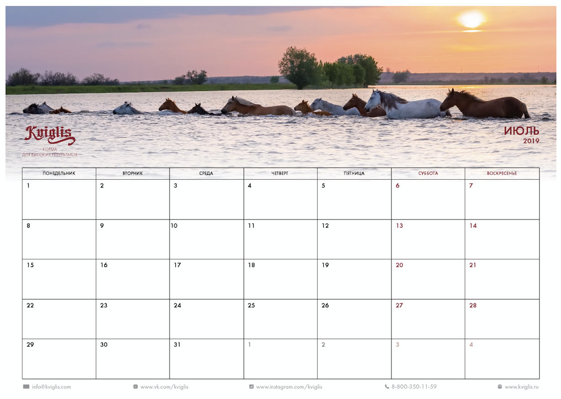 Календарь планер Kviglis