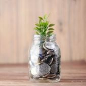 заказ корма для лошади и пони